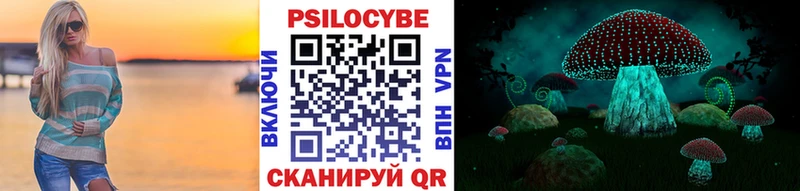 купить наркотики сайты  Александровск  Псилоцибиновые грибы Cubensis 