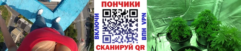 Конопля White Widow Александровск