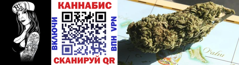 Конопля план  darknet наркотические препараты  Александровск 
